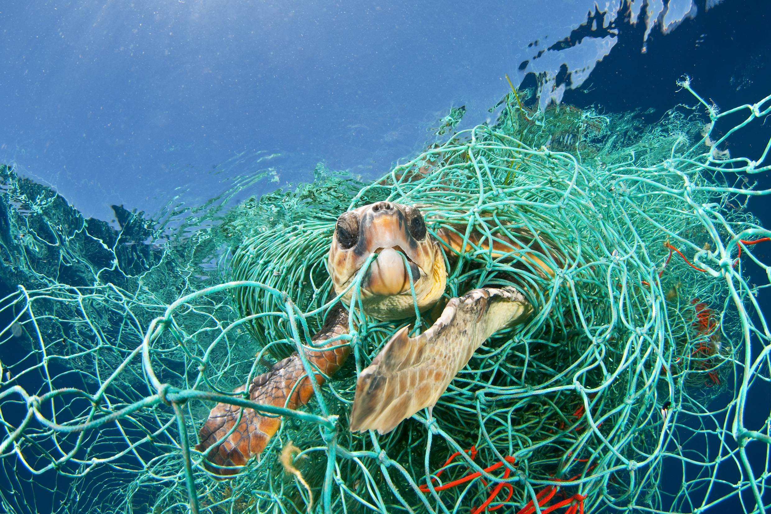 fishingnets_3